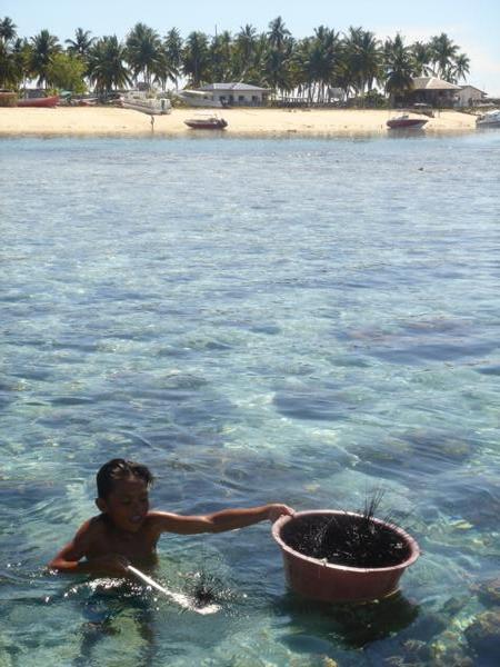 Local boy catching sea urchins, Mabul Island