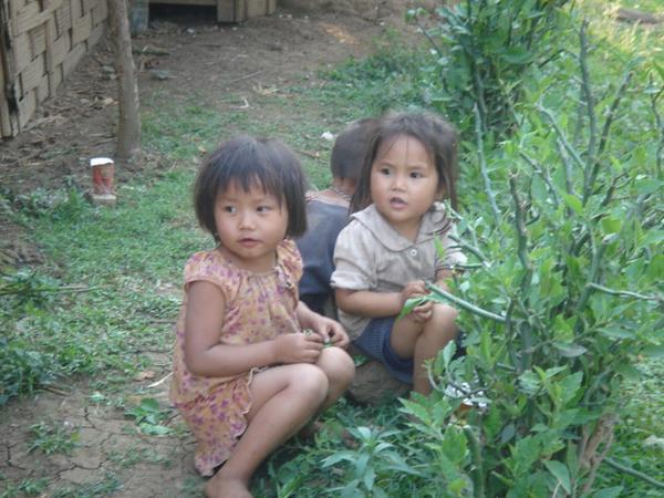 Laos kiddie winks