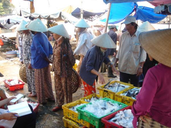 Fish market - Hoi An