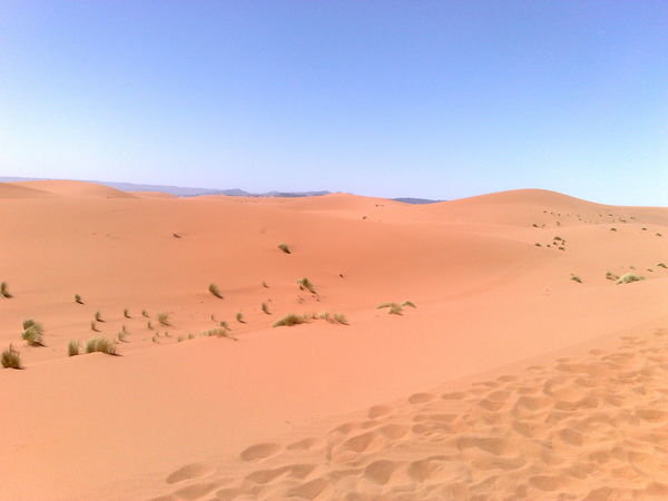 Dunes day 2