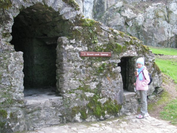 Blarney Castle 204