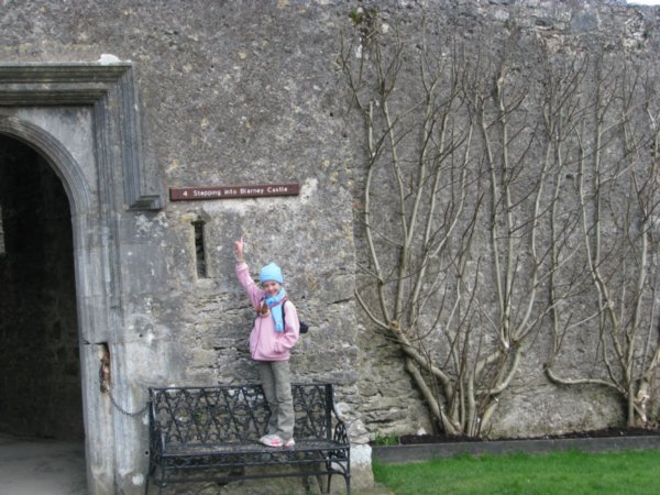 Blarney Castle 214