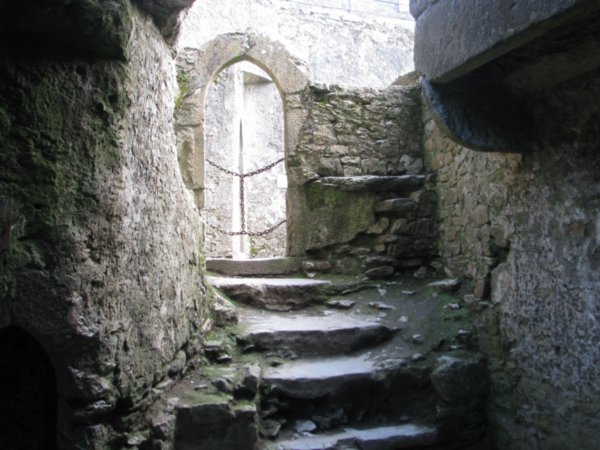 Blarney Castle 228