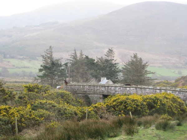 Ring of Kerry 039