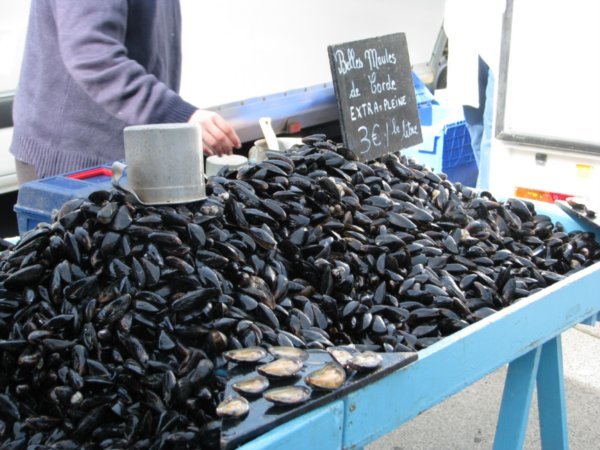 Mussels Galore