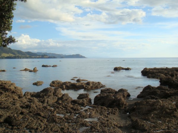 View from Te Kaha