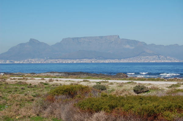 Table Mtn. From Robben Island