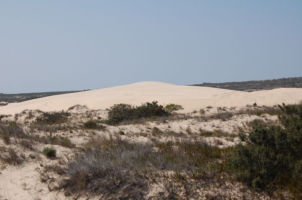 Sand Dunes in the West Coast National Park