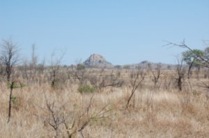 Kruger Landscape
