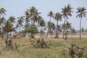 Tofo Village