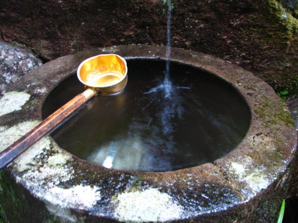 Temple Watering Hole