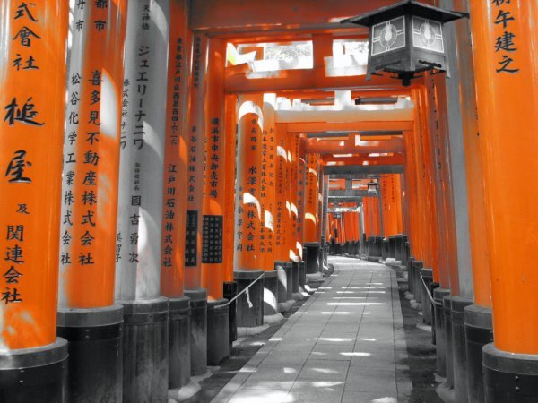 The Torii Tunnel