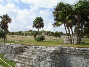 Ruines Maya V