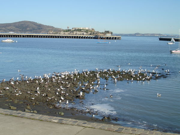 La baie de San Francisco
