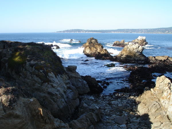 Reserve Naturelle Point Lobos