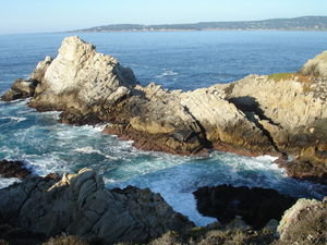 Reserve Naturelle Point Lobos
