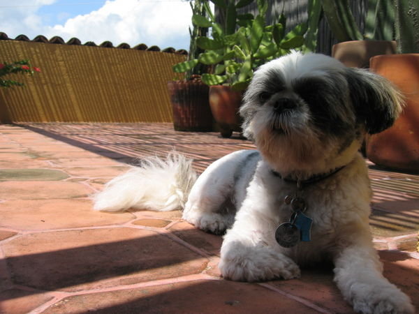 Byron enjoying the roof top patio