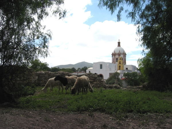 Pozos is very charming