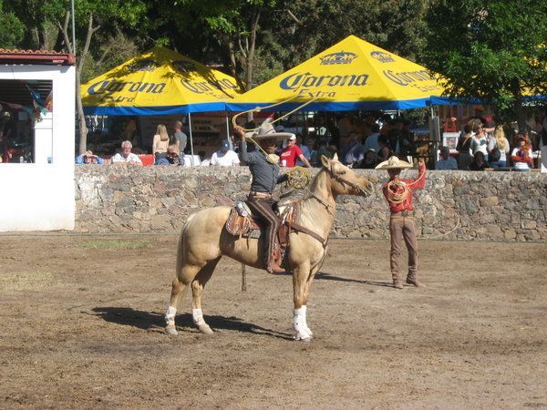 Cowboys and Coronas