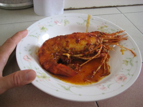 Look at the size of this prawn!
