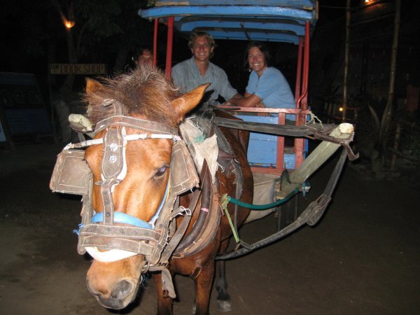 The only transport around Gili Air was horse drawn carriage
