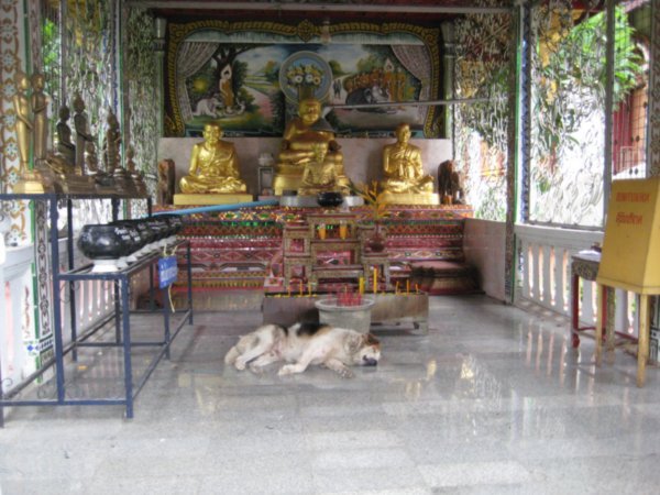 I love the dog sleeping in front of the statues