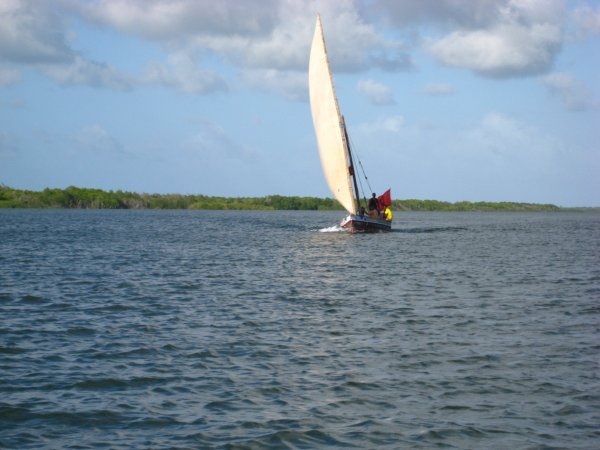 A traditional Dowh in Lamu