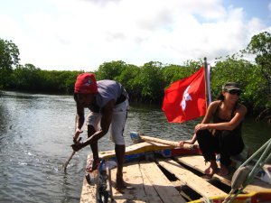 Navigating the archipelago mangroves