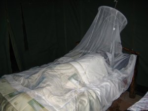 Mosquito nets are a must