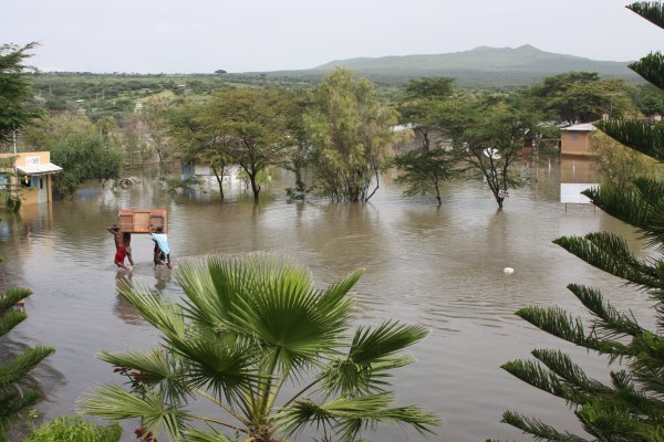 Sodore flooded by the Awash River