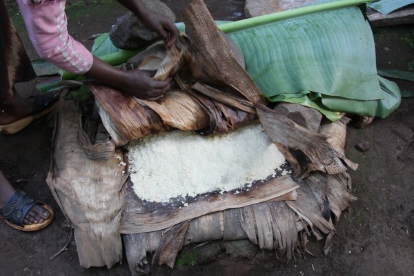 Crushing palms for an injera substitute 