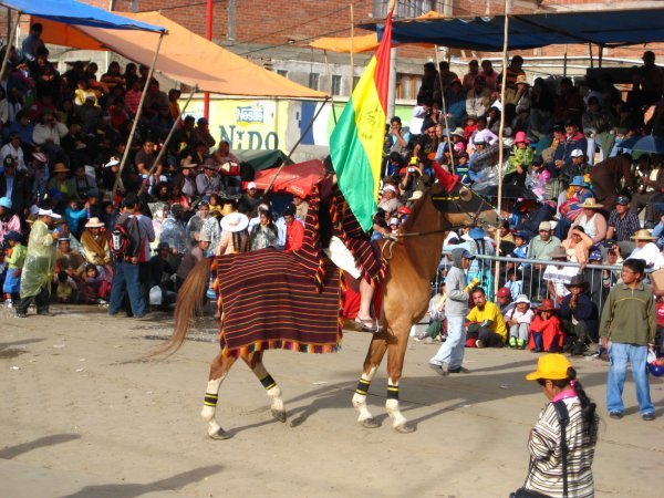 Carnaval horse