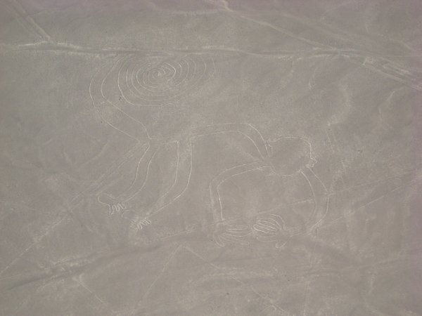 The Nazca lines: a monkey