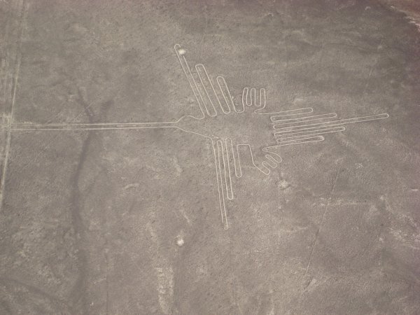 The Nazca lines: a hummingbird