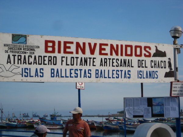Islas Ballestas: The poor-man's Galapagos