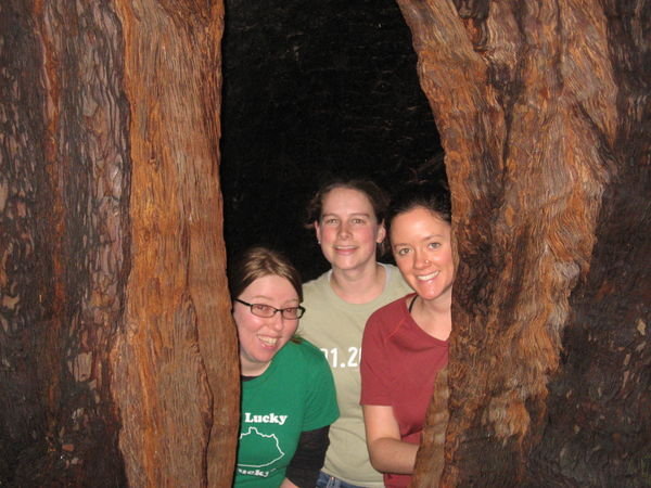 Meghan, Jodi, and I inside redwood tree