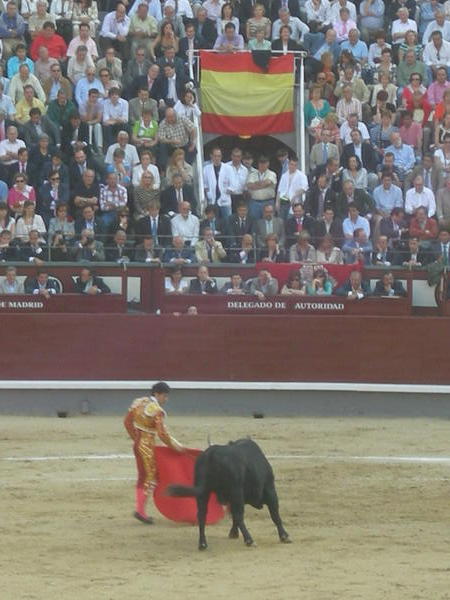 The Matador - A true hero of Spain