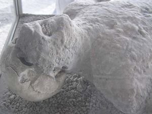 Pompeii Victim