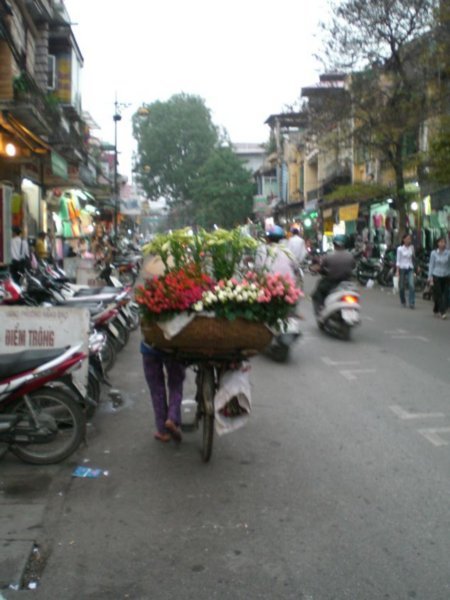 Flower seller walking the streets of Hanoi