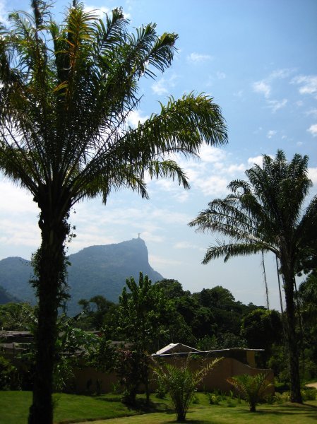 Views of Rio