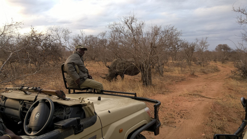 Rhino crossing...
