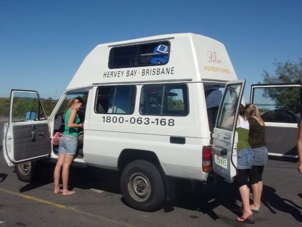 Bruiser - Our van for fraser