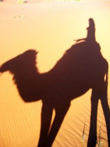 shadow pic: me and my camel