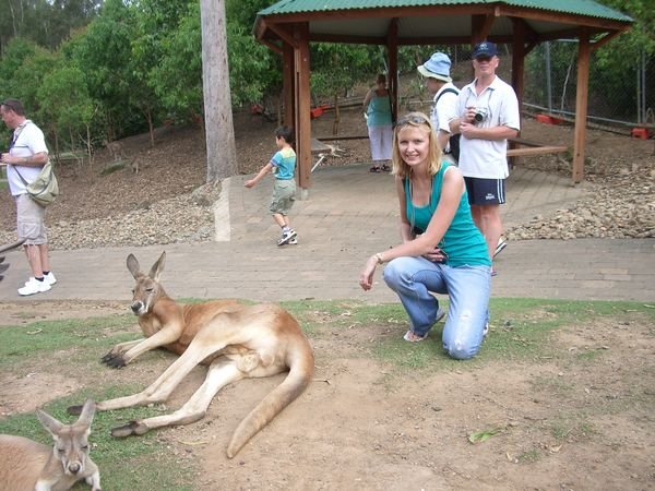 Chilling with the Roos