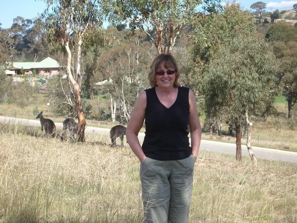 In Canberra with wild Roos