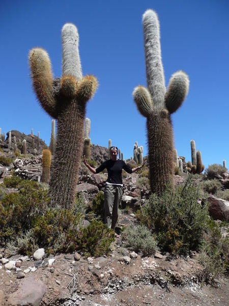 Giant cactus, Ihla de Pescud