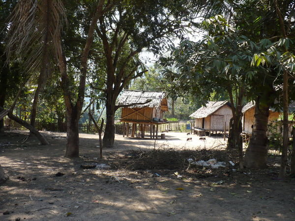Local village on the Mekong 