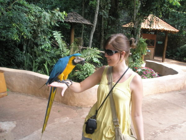 Me and a Macaw