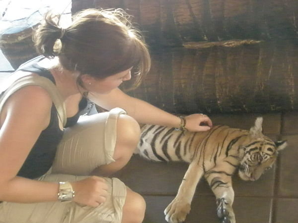 Stroking a baby tiger