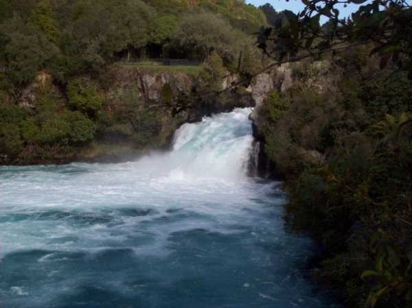 Taupo River